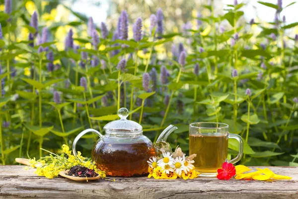 Herbal tea ( black tea, hibiscus tea, calendula, cloves, cardomon, cinnamon ) in nature. Still life with herbal tea on a background of blooming mint.