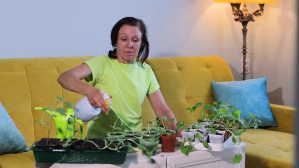 Gardening Home Shots Mid Shot Wide Shot Woman Sprays Seedlings — Stock Video