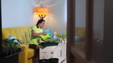 Evde bahçıvanlık. 2 atış: 1.Orta atış. 2.Yakın plan. Bir kadın saksıda fideleri suluyor. Evde kavun ve karpuz fideleri yetiştiriyor..