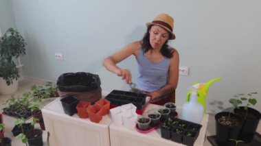 Evde bahçıvanlık. 2 atış: 1.Orta atış. 2.Yakın plan. Bir kadın saksılara toprak döküyor. Evde çiçek ve sebze filizleri yetiştiriyor..