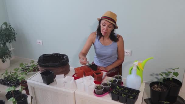 Evde Bahçıvanlık Atış Orta Atış Yakın Plan Bir Kadın Tohum — Stok video