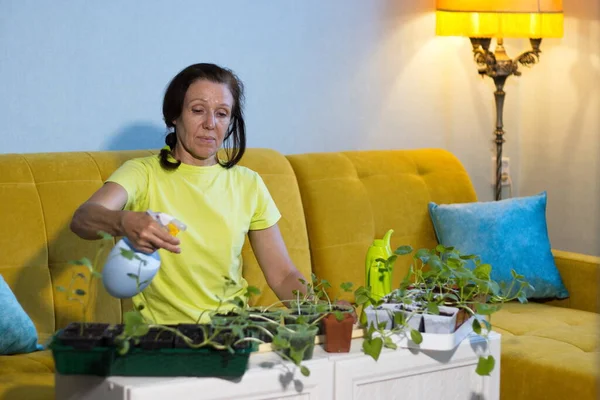 Κηπουρική Στο Σπίτι Μια Γυναίκα Ψεκάζει Σπορόφυτα Γλάστρες Καλλιεργεί Καρπούζι Εικόνα Αρχείου