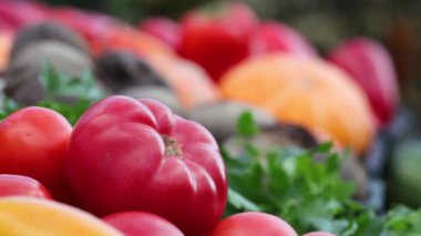 Markette domates ve balkabağı var. Pazar tezgahında sebze kutuları vardır (biber, kabak, pancar, domates, maydanoz). Odak noktası domatesten balkabağına kayar.