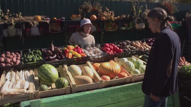 Покупаю Тыквы Рынке Медленное Движение Мужчина Покупает Маленькую Тыкву Фермерском — стоковое видео