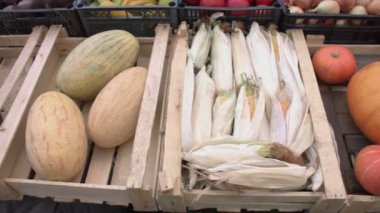 Marketteki sebzeler. Sebze kasaları boyunca düzgün kamera hareketi: kavunlar, mısır, balkabağı, biber, maydanoz, havuç.