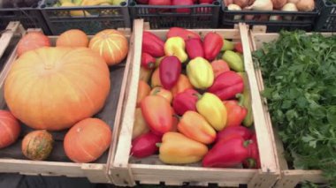 Marketteki sebzeler. Sebze kasaları boyunca düzgün kamera hareketi: kabak, biber, maydanoz, havuç, kabak, soğan.