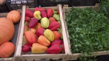 Marketteki sebzeler. Sebze kasaları boyunca düzgün kamera hareketi: havuç, maydanoz, biber, balkabağı, mısır, kavun, karpuz. 