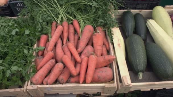 市場のカウンターで野菜 野菜のクレートに沿って滑らかなカメラの動き 玉ねぎ ズッキーニ パセリ ピーマン カボチャ — ストック動画