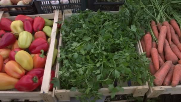 市場のカウンターで野菜 野菜のクレートに沿って滑らかなカメラの動き ニンジン パセリ ピーマン カボチャ トウモロコシ — ストック動画