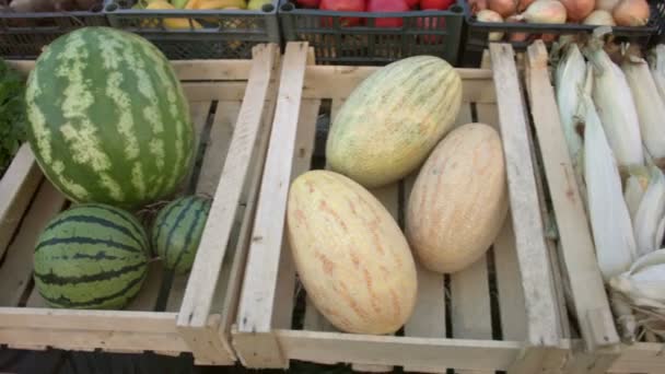 Groenten Markt Teller Gladde Camerabeweging Langs Groentekisten Peterselie Watermeloen Meloenen — Stockvideo