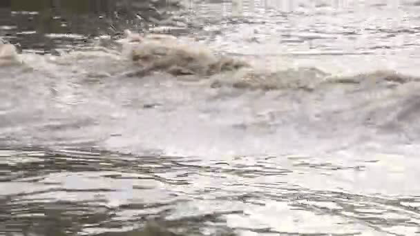 O carro anda em uma rua inundada . — Vídeo de Stock