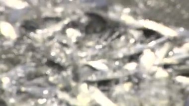 Bir balık ağı sıçramasına Peled. Odakta odak.