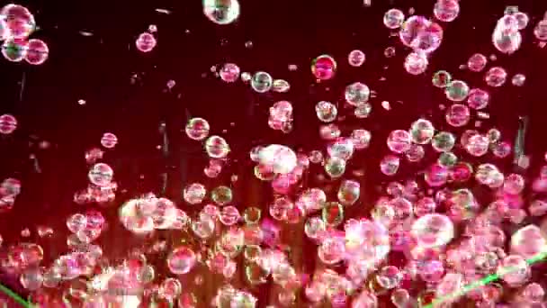 Lots of soap bubbles. — Stock Video