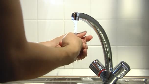 Hand werden Karotten unter fließendem Wasser gewaschen. 2 Schüsse — Stockvideo