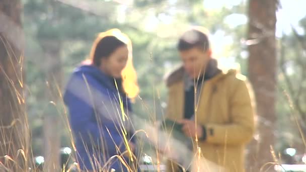 Läsa en bok i skogen. — Stockvideo