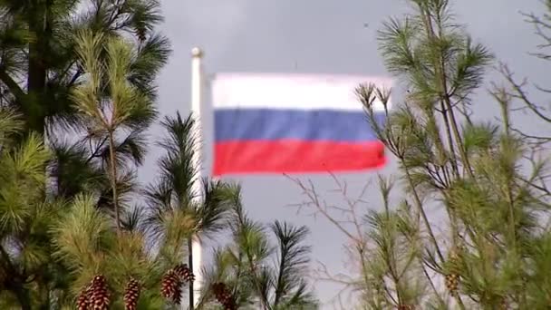 De nationale vlag van de Russische Federatie — Stockvideo