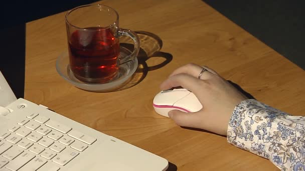 Jovem trabalhando em um laptop branco. Ela move o mouse, rolando . — Vídeo de Stock