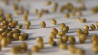 Fasulye, fasulye, beyaz arka planda soya fasulyesi. Yavaş ol. Yakın plan..