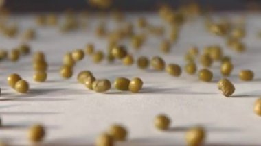 Fasulye, fasulye, beyaz arka planda soya fasulyesi. Yavaş ol. Yakın plan..