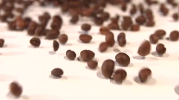 Kávébab fehér háttérrel. Tetőtől talpig forognak. Lassú mozgás. Közelkép. — Stock videók