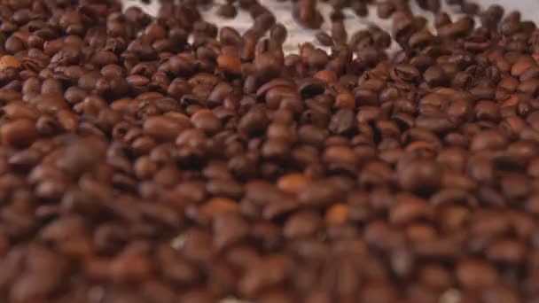 Coffee beans. Are rolling from top to bottom. Slow motion. Close-up. Pan. 2 shots — Stock Video