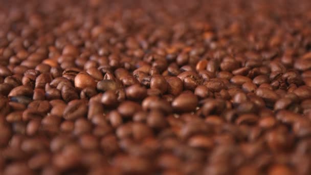 Des grains de café. Poêle verticale et horizontale. Gros plan. 2 clichés — Video