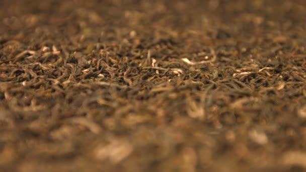 The dried green tea leaves. Vertical and horizontal  pan. Close-up. 2 shots. — Stock Video