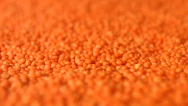 Lentils. Vertical and horizontal (slow motion) pan. Close-up. 2 shots. — Stock Video