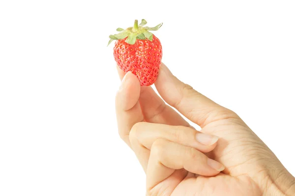 Une fraise fraîche à la main humaine sur fond blanc . — Photo