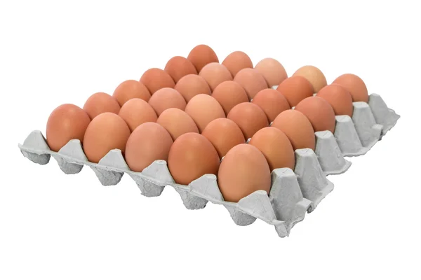 Куряче яйце лотки — стокове фото