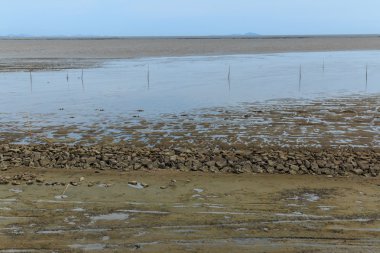 Düşük tide su deniz manzara