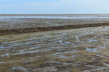 Düşük tide su deniz manzara
