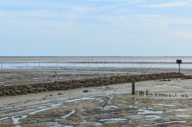 Düşük tide su deniz manzara
