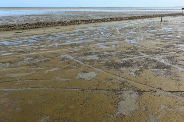 Düşük tide su deniz manzara