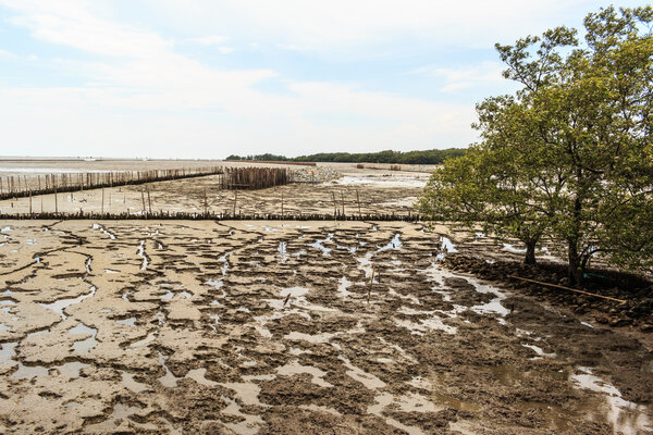 Морской пейзаж во время отливов
