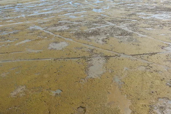 Paesaggio marittimo con bassa marea — Foto Stock