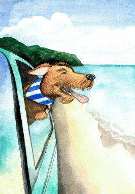 Şirin bir teriyer köpeği. Arabayla sahile gidiyor. Açık pencere diline sahip, suluboya resimli. 