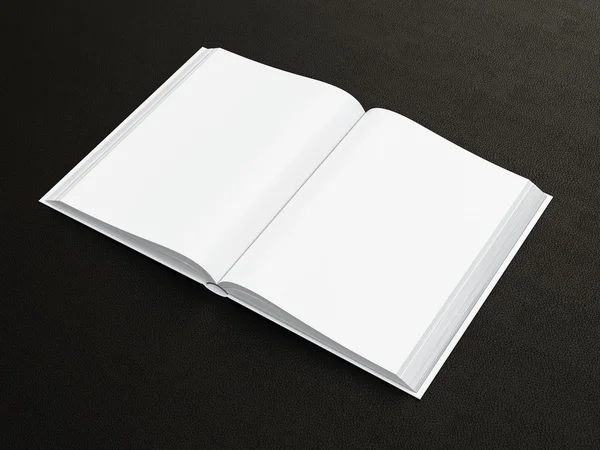 Libro aperto bianco — Foto Stock