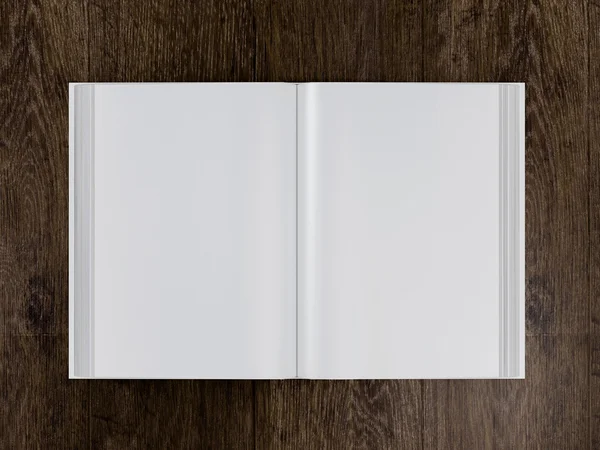 Libro aperto — Foto Stock