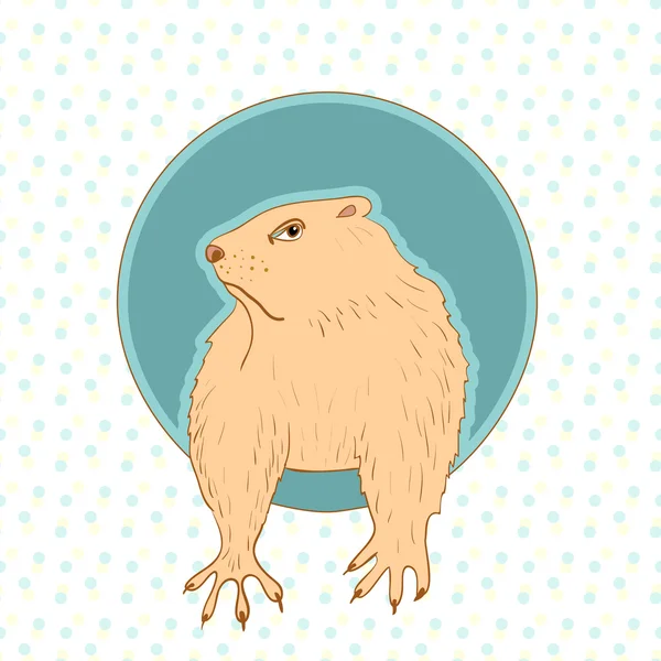 Dia de Marmot Groundhog —  Vetores de Stock