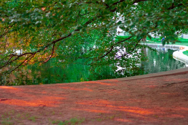 tree shadow, sunset shadow in red