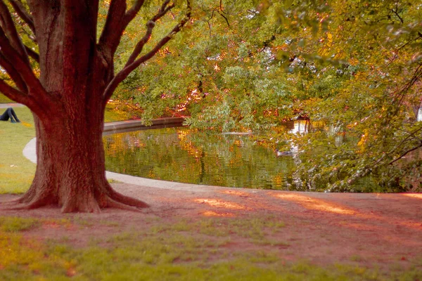 trees in the autumn season, change of leaves