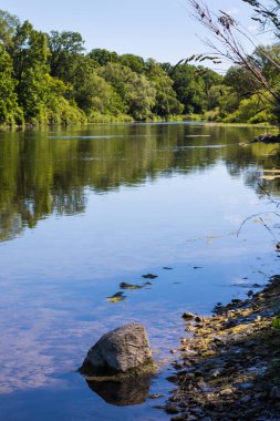 Ontario, Kanada 'da Thames Nehri Dikey. Arka planda ağaçların yansıması, ön planda kaya.