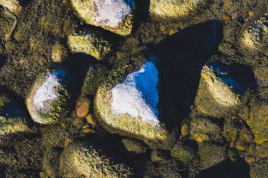 Sabah güneşinde nehir yatağında çamurlu ve kuru kayalar..