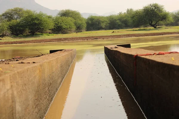 Hindistan Tamilnadu 'da Kanmai adında küçük bir tank tarım için bir su depoluyor.