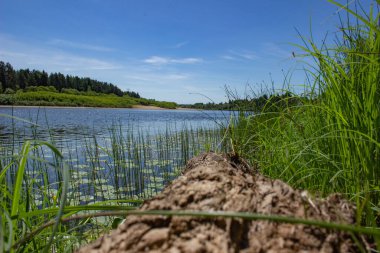 Nehrin güzel manzarası