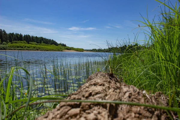Nehrin güzel manzarası
