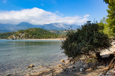 Transparent bay in the Mediterranean Sea