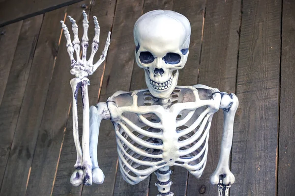 Ludzki Szkielet Śmieszny Trup Witaj Przeszłości Zombie Pokój Paniki Czaszka — Zdjęcie stockowe