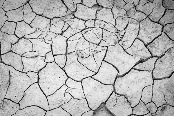 Primer plano del suelo seco —  Fotos de Stock